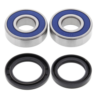 ALL BALLS WHEEL BEARING KIT, FRONT