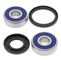 ALL BALLS WHEEL BEARING KIT, FRONT