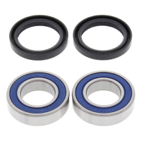 ALL BALLS WHEEL BEARING KIT, FRONT