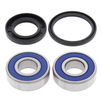 ALL BALLS WHEEL BEARING KIT, FRONT