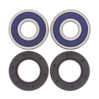 ALL BALLS WHEEL BEARING KIT, FRONT & REAR