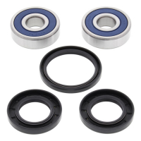 ALL BALLS WHEEL BEARING KIT, FRONT