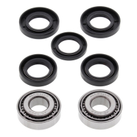 ALL BALLS WHEEL BEARING KIT, FRONT & REAR