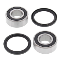 ALL BALLS WHEEL BEARING KIT, FRONT