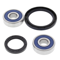 ALL BALLS WHEEL BEARING KIT, FRONT