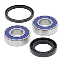 ALL BALLS WHEEL BEARING KIT, FRONT