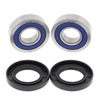 ALL BALLS WHEEL BEARING KIT, FRONT