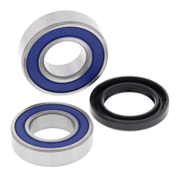 ALL BALLS WHEEL BEARING KIT, FRONT