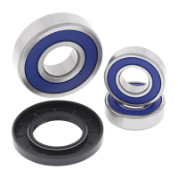 ALL BALLS WHEEL BEARING KIT, REAR