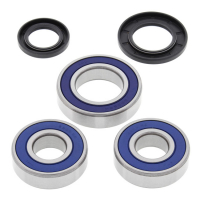 ALL BALLS WHEEL BEARING KIT, REAR