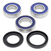 ALL BALLS WHEEL BEARING KIT, REAR