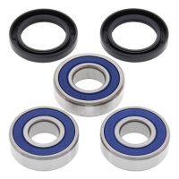 ALL BALLS WHEEL BEARING KIT, REAR