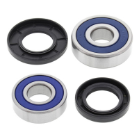 ALL BALLS WHEEL BEARING KIT, REAR