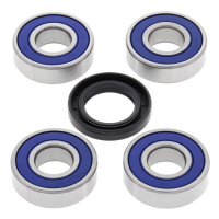 ALL BALLS WHEEL BEARING KIT, REAR