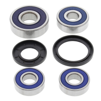 ALL BALLS WHEEL BEARING KIT, REAR