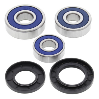 ALL BALLS WHEEL BEARING KIT, REAR