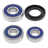 ALL BALLS WHEEL BEARING KIT, REAR