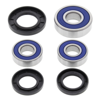 ALL BALLS WHEEL BEARING KIT, REAR