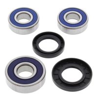 ALL BALLS WHEEL BEARING KIT, REAR