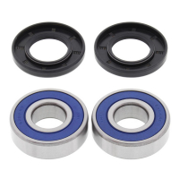 ALL BALLS WHEEL BEARING KIT, REAR