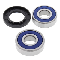 ALL BALLS WHEEL BEARING KIT, REAR