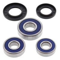 ALL BALLS WHEEL BEARING KIT, REAR