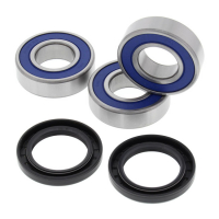 ALL BALLS WHEEL BEARING KIT, REAR