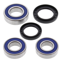 ALL BALLS WHEEL BEARING KIT, REAR