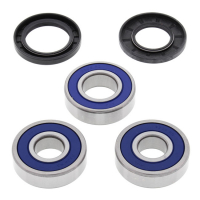 ALL BALLS WHEEL BEARING KIT, REAR