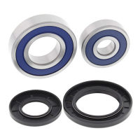 ALL BALLS WHEEL BEARING KIT, REAR