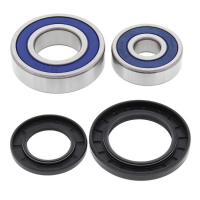 ALL BALLS WHEEL BEARING KIT, REAR