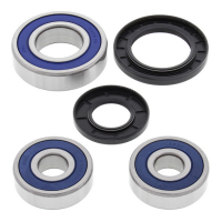 ALL BALLS WHEEL BEARING KIT, REAR