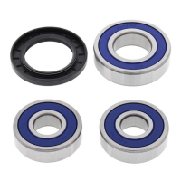 ALL BALLS WHEEL BEARING KIT, REAR