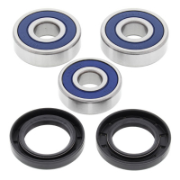 ALL BALLS WHEEL BEARING KIT, REAR