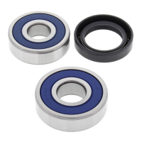 ALL BALLS WHEEL BEARING KIT, REAR