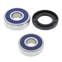 ALL BALLS WHEEL BEARING KIT, REAR