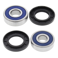 ALL BALLS WHEEL BEARING KIT, REAR