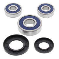 ALL BALLS WHEEL BEARING KIT, REAR