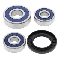 ALL BALLS WHEEL BEARING KIT, REAR