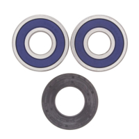 ALL BALLS WHEEL BEARING KIT, REAR