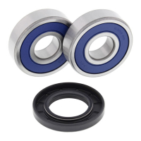 ALL BALLS WHEEL BEARING KIT, REAR