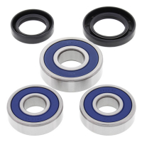 ALL BALLS WHEEL BEARING KIT, REAR