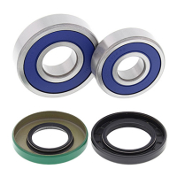 ALL BALLS WHEEL BEARING KIT, REAR