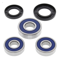 ALL BALLS WHEEL BEARING KIT, REAR