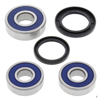 ALL BALLS WHEEL BEARING KIT, REAR