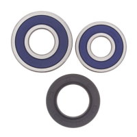 ALL BALLS WHEEL BEARING KIT, REAR