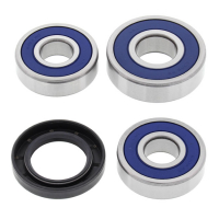 ALL BALLS WHEEL BEARING KIT, REAR