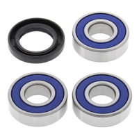 ALL BALLS WHEEL BEARING KIT, REAR