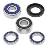 ALL BALLS WHEEL BEARING KIT, REAR