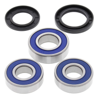 ALL BALLS WHEEL BEARING KIT, REAR